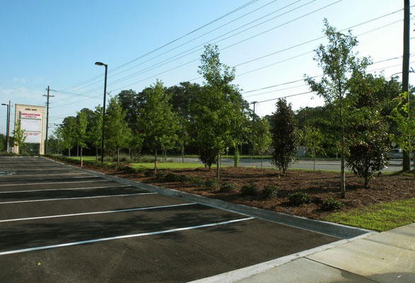 Commercial Landscaping: Carroll Commercial, Tallahassee, FL`