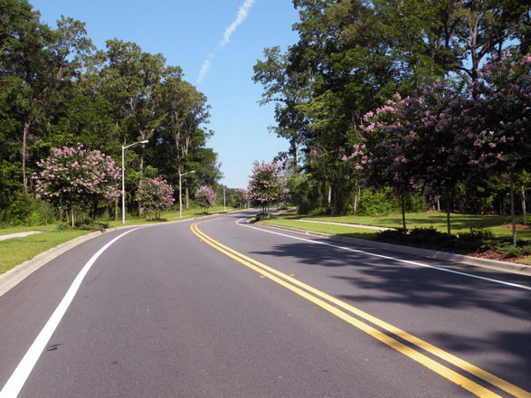 Commercial Landscaping: Kerry Forest Parkway, Tallahassee, FL
